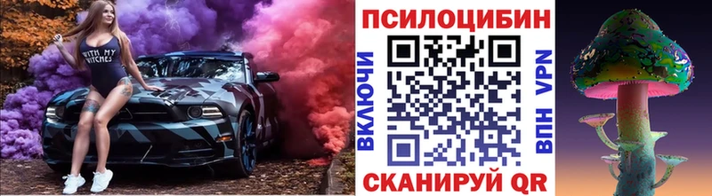 где купить   Кызыл  Псилоцибиновые грибы MAGIC MUSHROOMS 