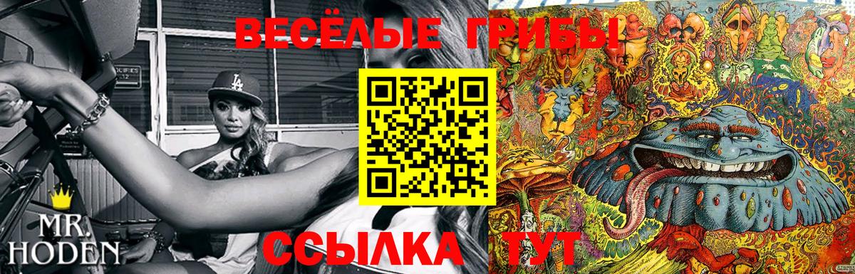 Галлюциногенные грибы GOLDEN TEACHER Кызыл